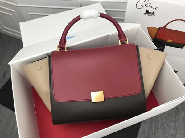 Replica New Celine Swing Bag Trapeze Leather Shoulder Bags Color Matching